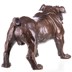 Bulldog - bronz szobor képe